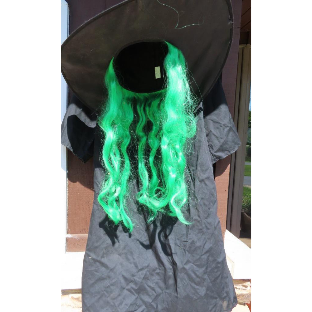 Black Halloween Costume Witch Pointed Hat Green Hair Cape Youth One Size